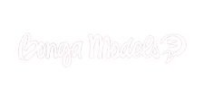 webcam model